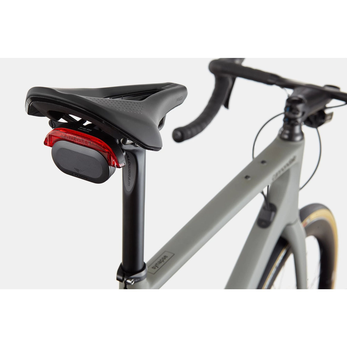 Synapse Carbon 1 RLE