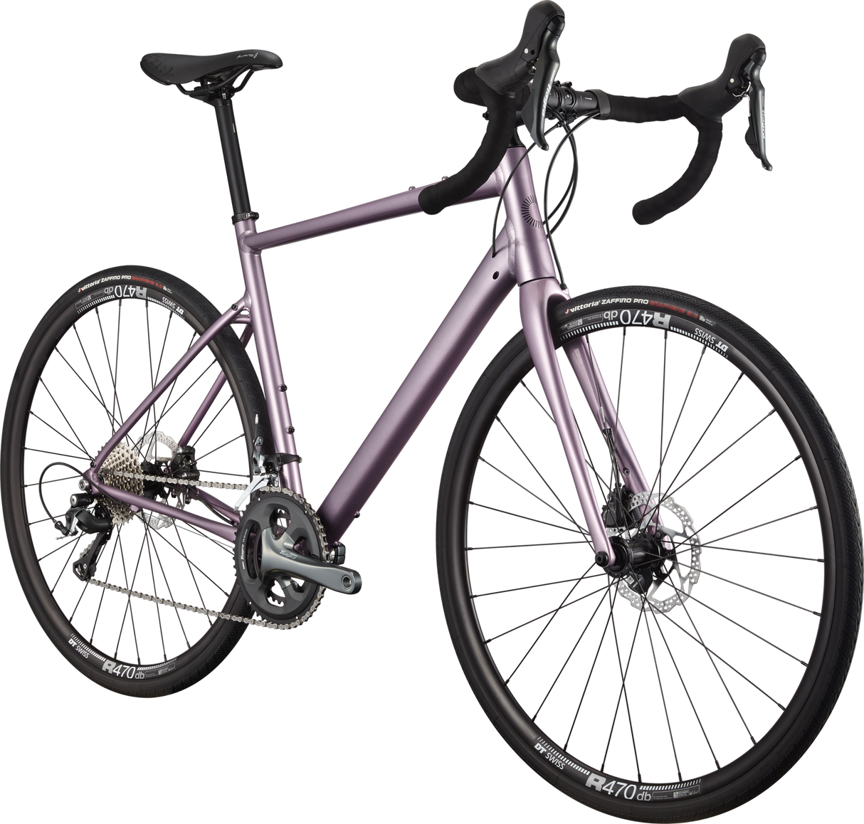 Synapse 2