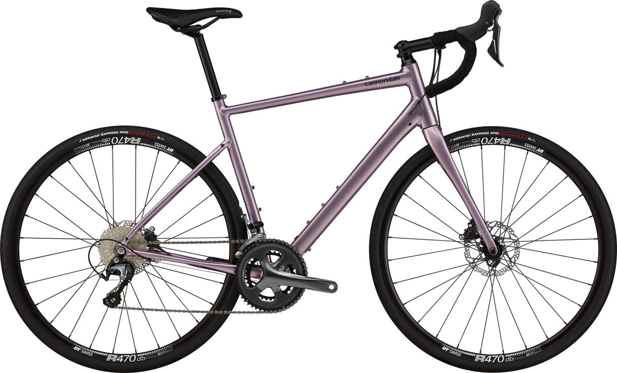Synapse 2