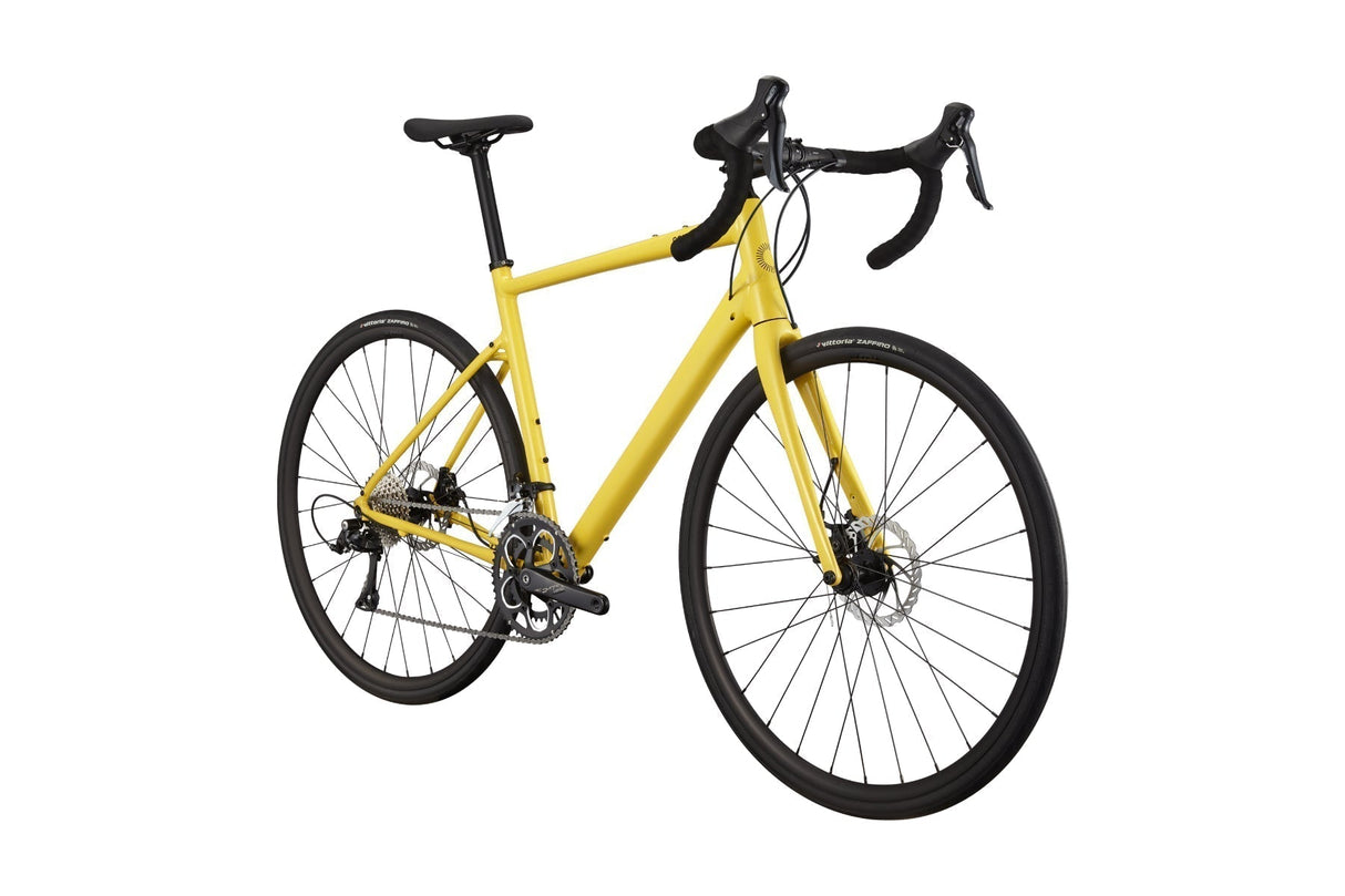 Synapse 3