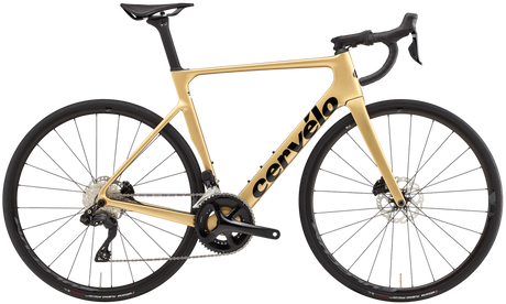 Soloist 105 Di2