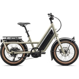 Globe ST Electric Bike