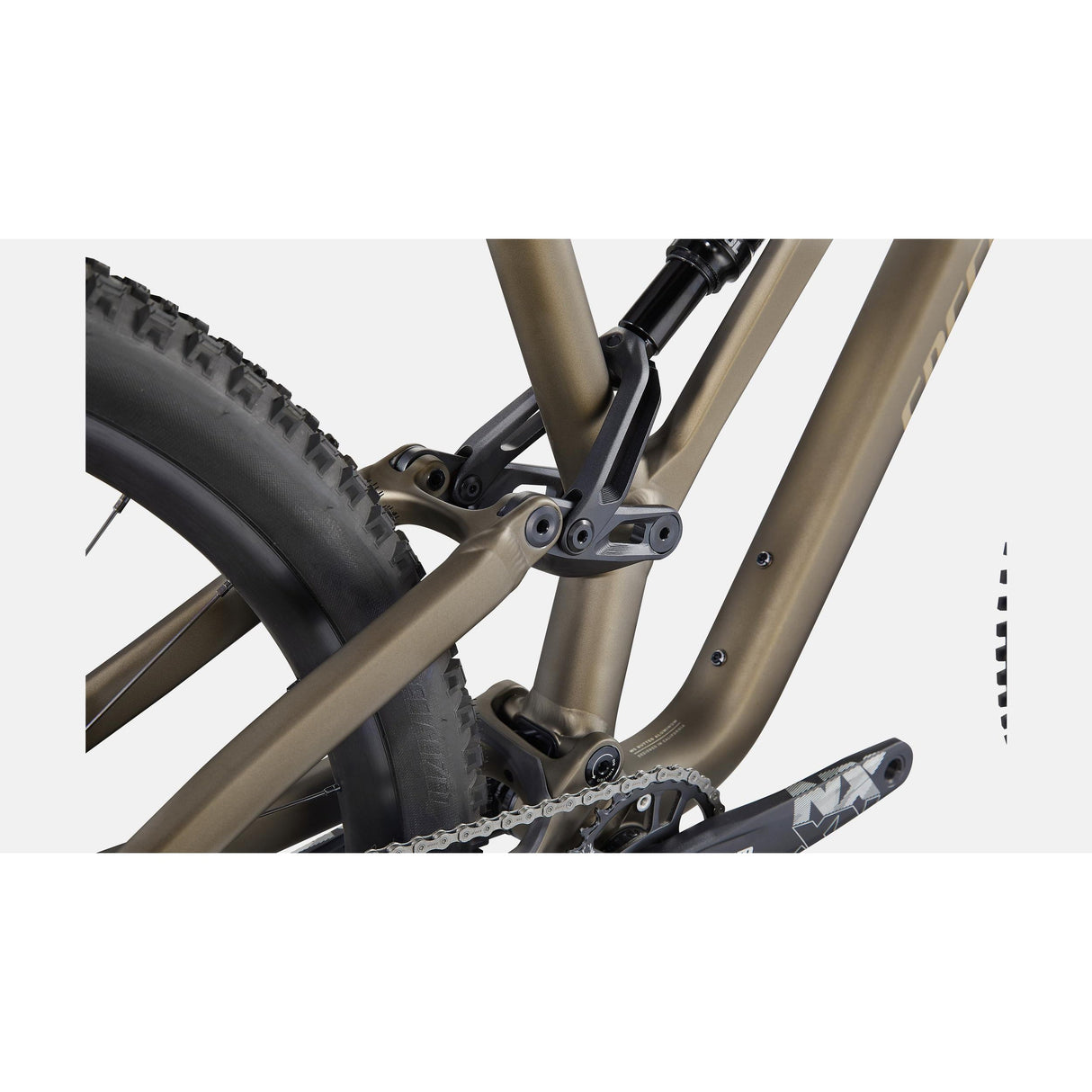 Stumpjumper Comp Alloy Mountain Bike (2023)
