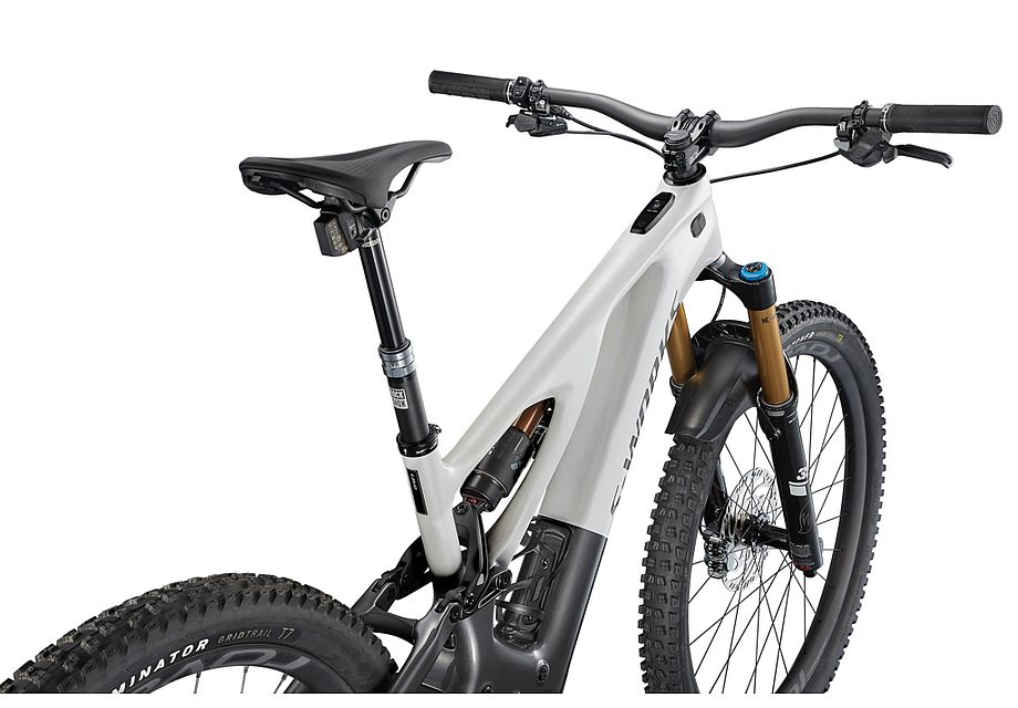 Specialized Levo S-Works Carbon