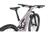 Specialized Levo 29