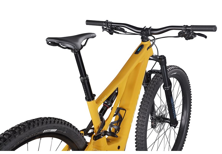 Specialized Levo 29