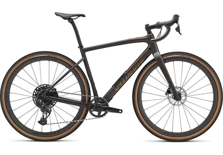 Specialized Diverge Expert Carbon