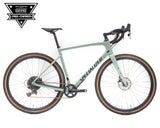 2022 Specialized Diverge Sport Carbon Whtsge/Oakgrn/Blk 58 (CPO)