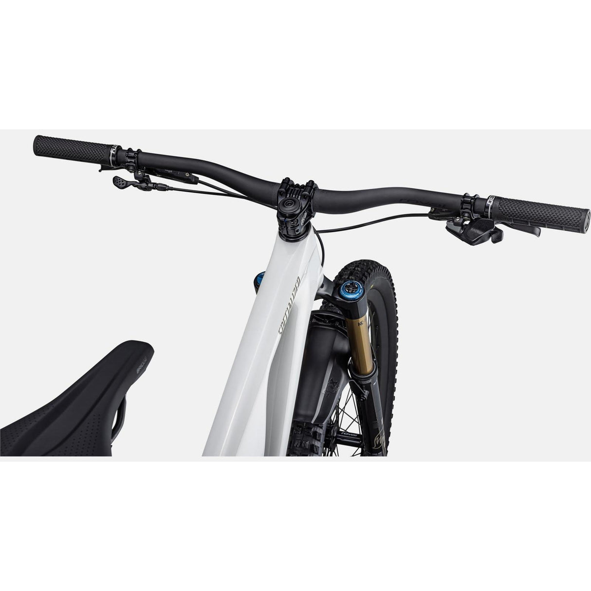 StumpJumper Evo Pro Full Suspension 29" Mountain Bike (2023)