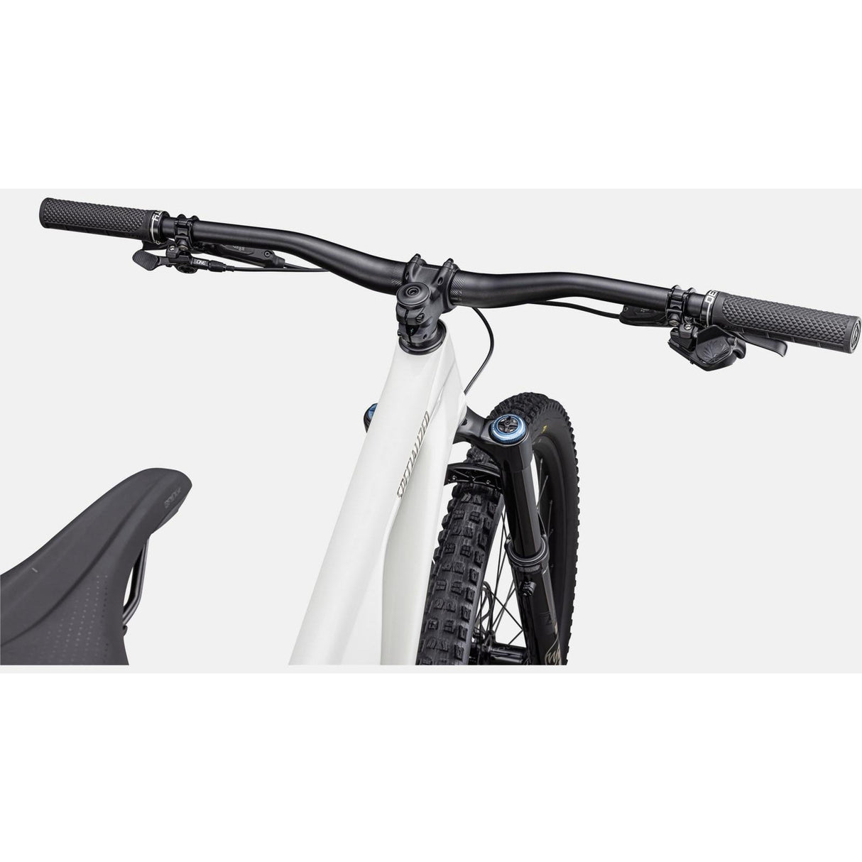 StumpJumper EVO Expert Full Suspension 29" Mountain Bike (2023)