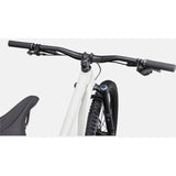 StumpJumper EVO Expert Full Suspension 29" Mountain Bike (2023)
