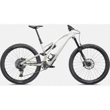 StumpJumper EVO Expert Full Suspension 29" Mountain Bike (2023)