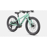 Riprock 20" Kids Mountain Bike