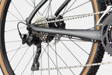 Cannondale Topstone Neo SL2