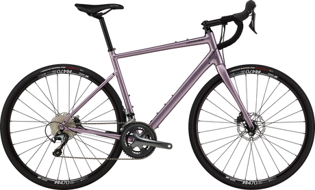 Synapse 2