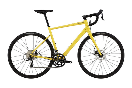 Synapse 3