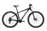 Trail 8 29