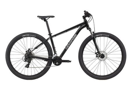 Trail 8 29