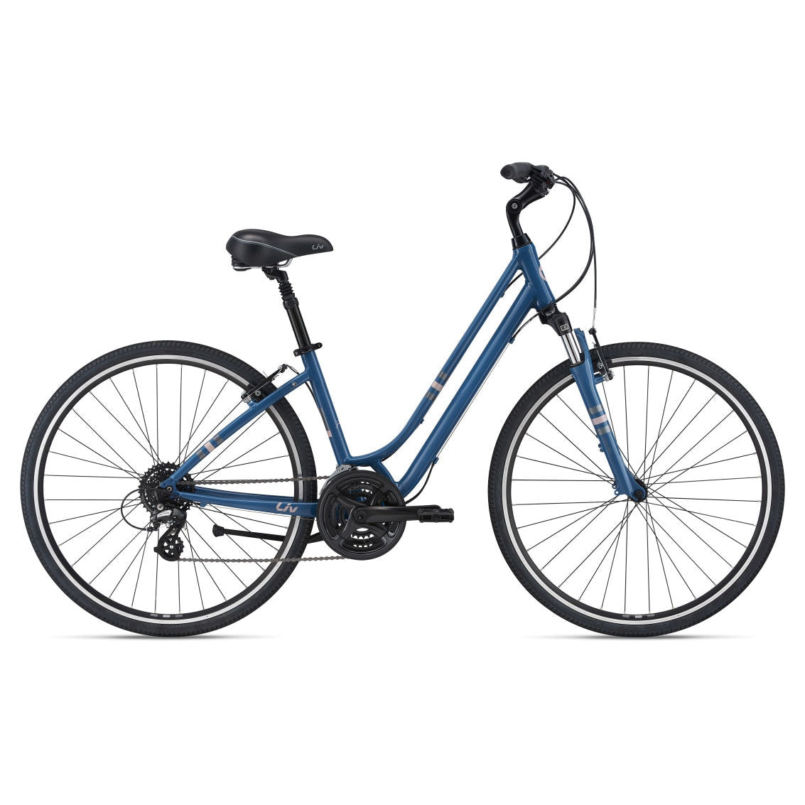 Flourish FS 1 Comfort Bike (2022)