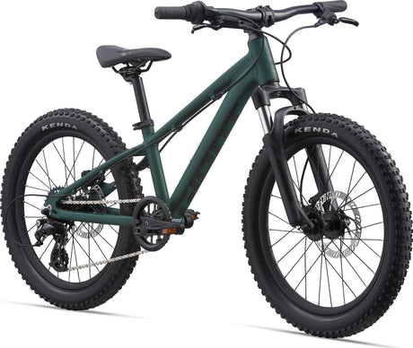 STP 20 FS