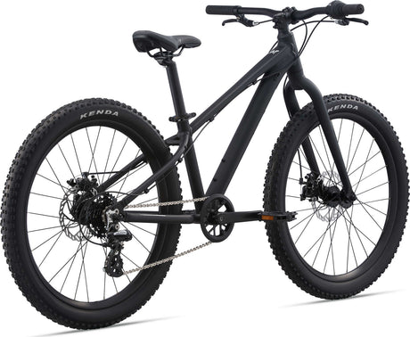 STP 24