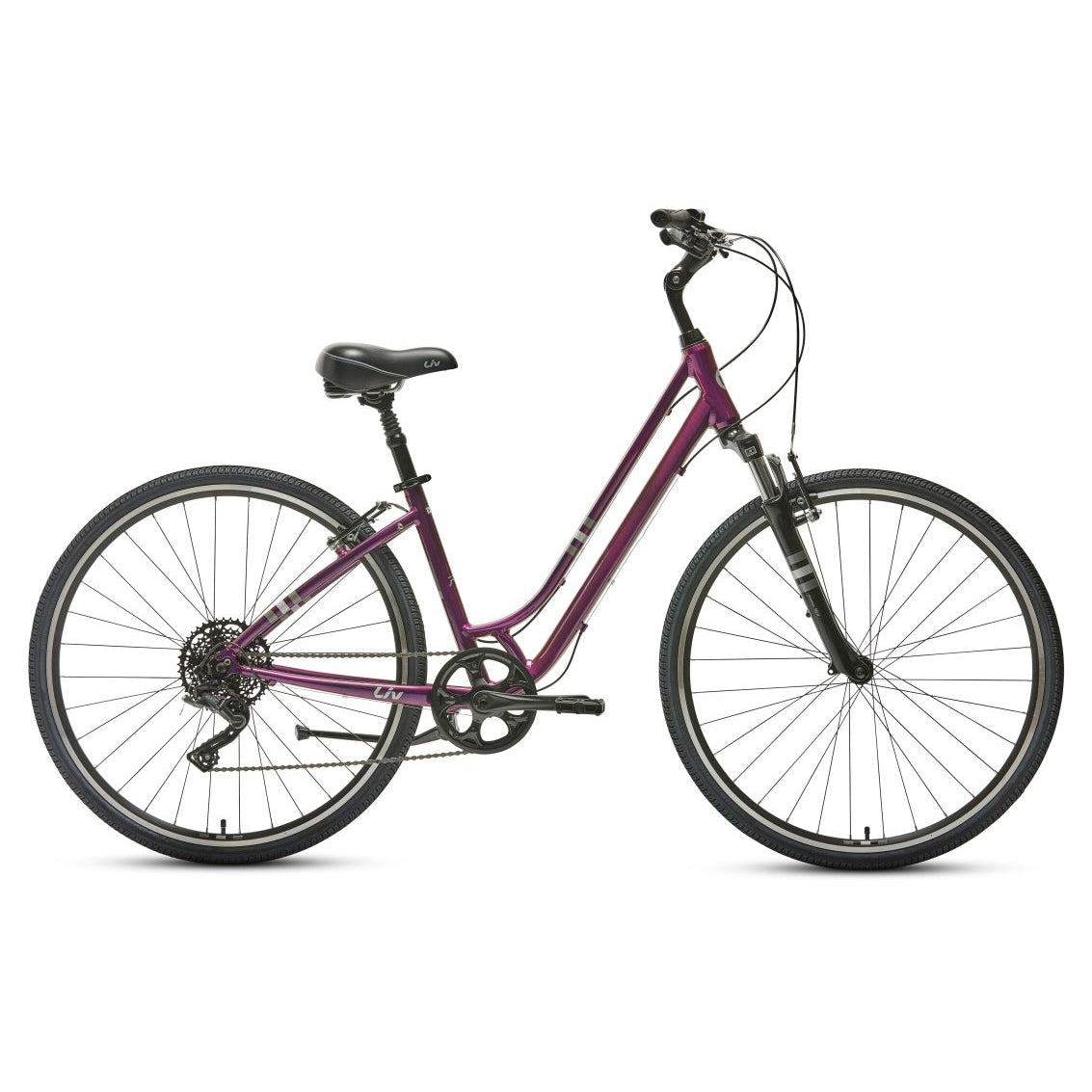 Flourish FS 1 Comfort Bike (2022)