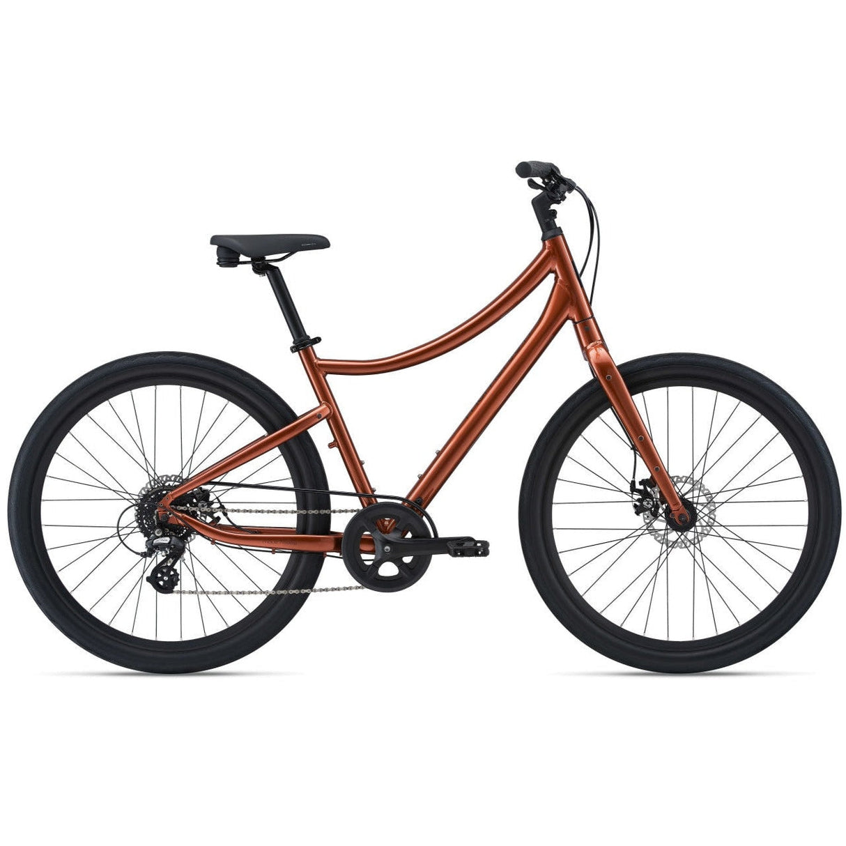 Vida Hybrid Bike (2022)