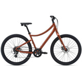 Vida Hybrid Bike (2022)