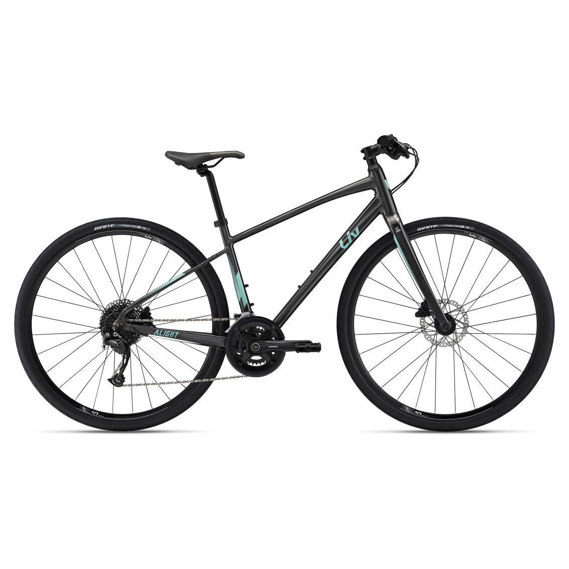 Alight 1 DD Disc Hybrid Bike (2022)