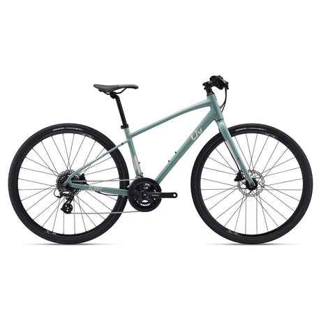 Alight 2 DD Disc Hybrid Bike (2022)