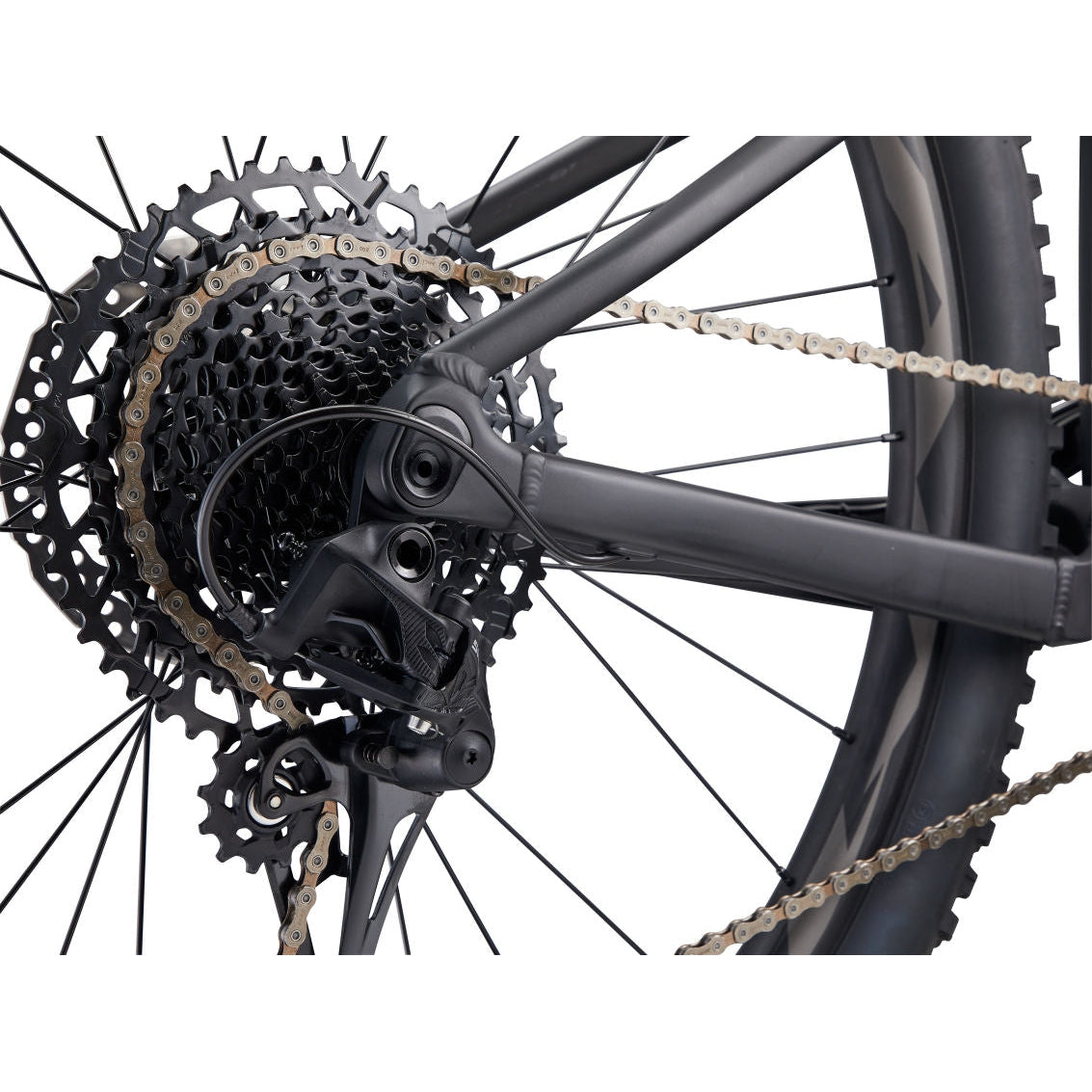 Embolden 1 29" Mountain Bike (2022)