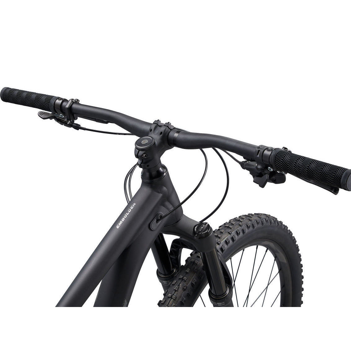 Embolden 1 29" Mountain Bike (2022)