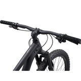 Embolden 1 29" Mountain Bike (2022)