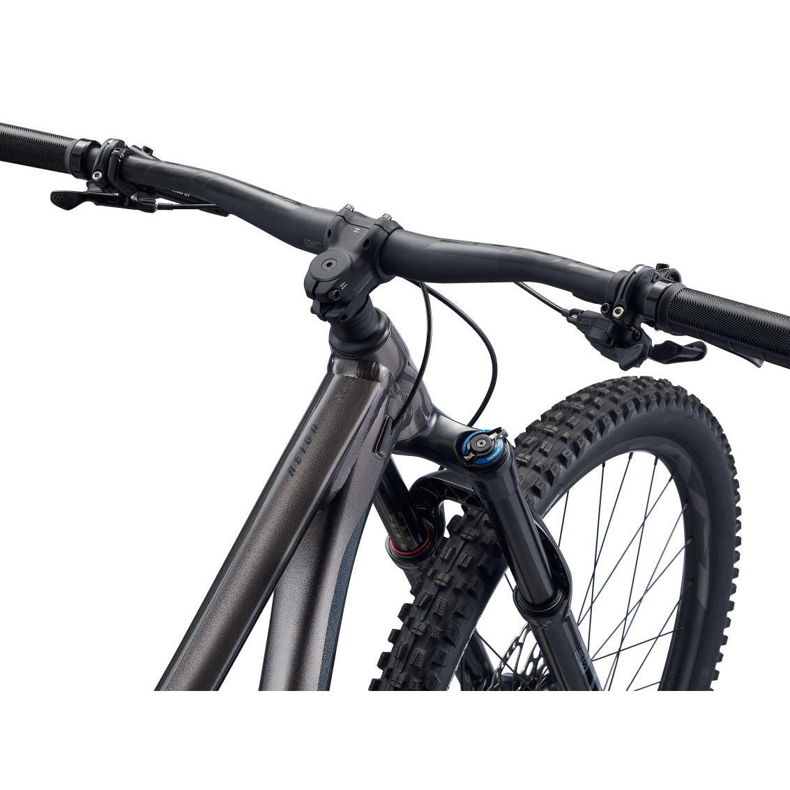 Reign 29 Mountain Bike (2022)