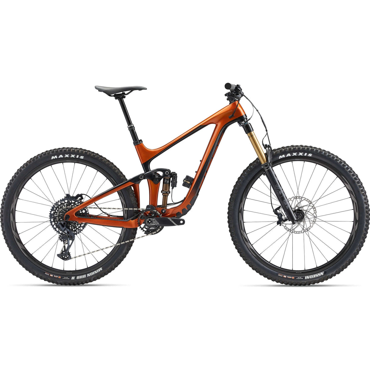 Reign Advanced Pro 29 1 Carbon Mountain Bike (2022)