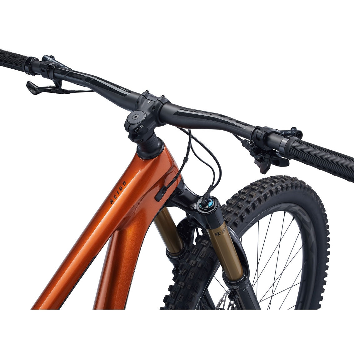 Reign Advanced Pro 29 1 Carbon Mountain Bike (2022)