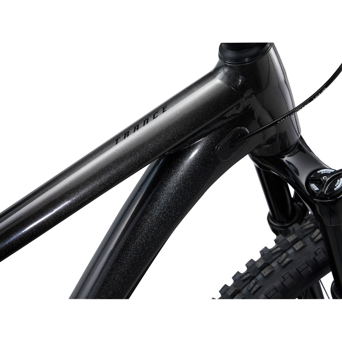 Trance 2 29er Mountain Bike (2022)