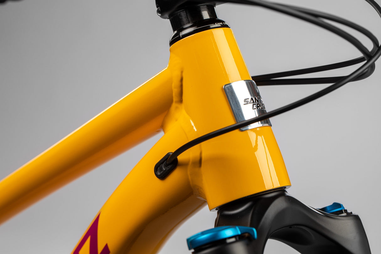 Chameleon AL S 29 (2022)