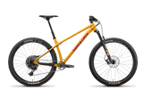 Chameleon AL R 29 (2022)