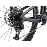 Reign Advanced Pro 29 1 Carbon Mountain Bike (2023)