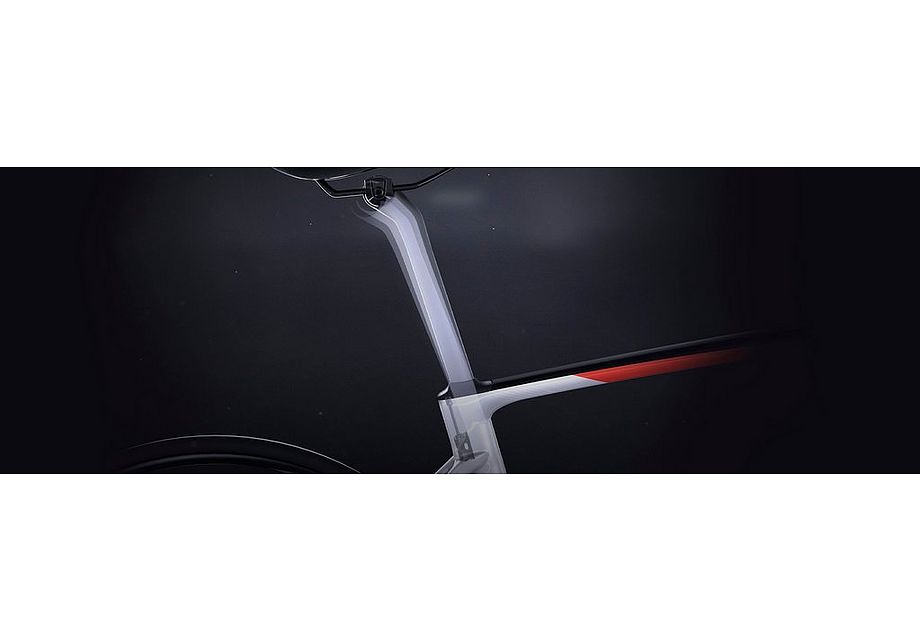 Specialized Roubaix S-Works Team Frameset