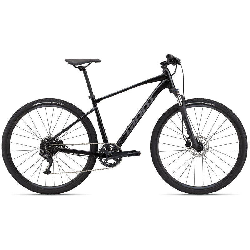 Roam 2 Disc Hybrid Bike (2022)