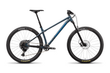 Chameleon AL D 29 (2022)