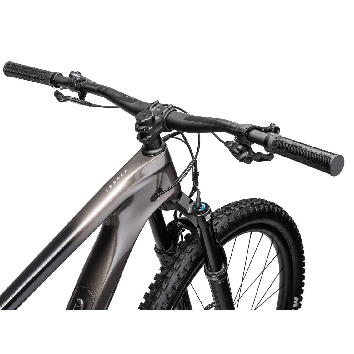 Trance Advanced Pro 29 2 Mountain Bike (2022)
