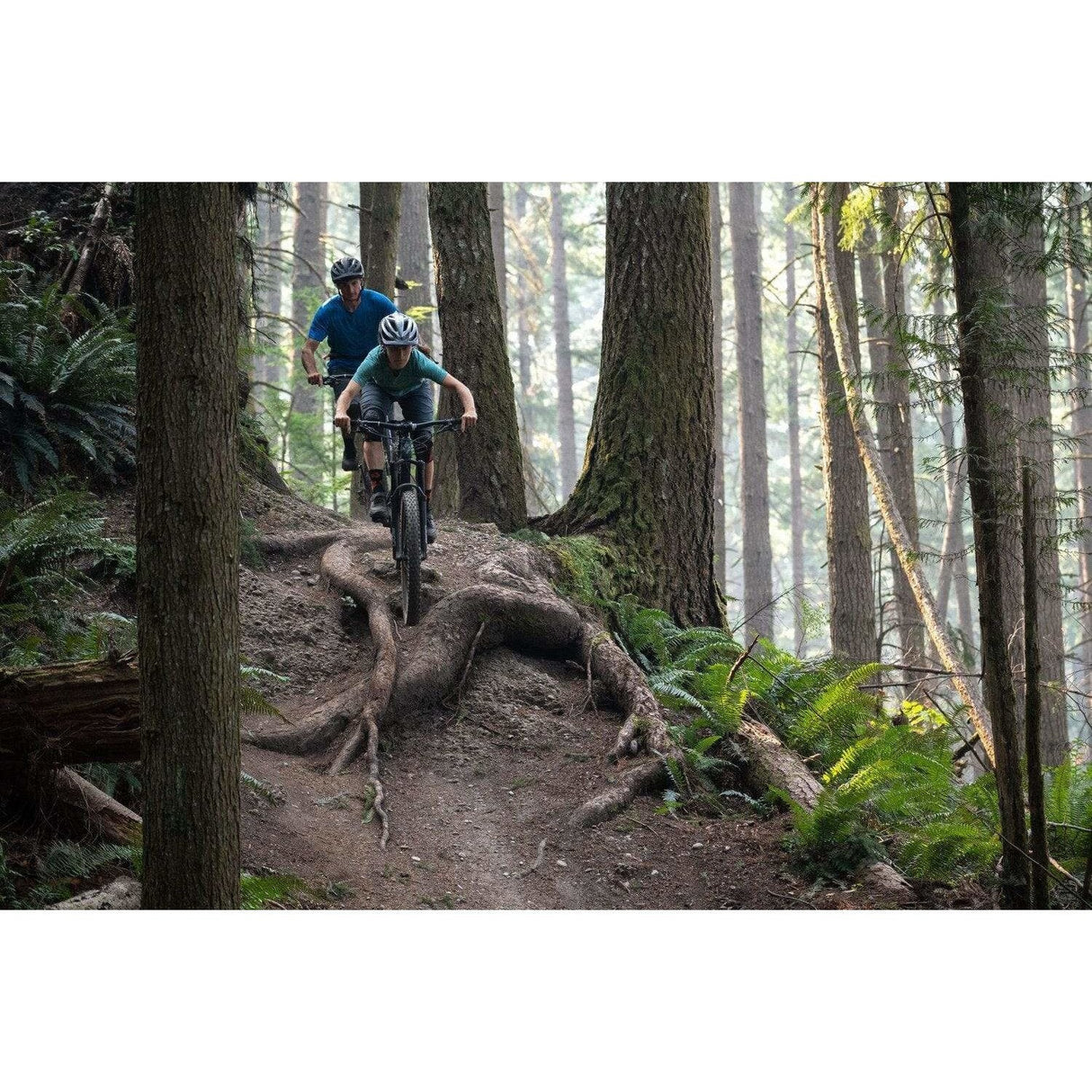 Catch 1 - 27.5"+ Mountain Bike