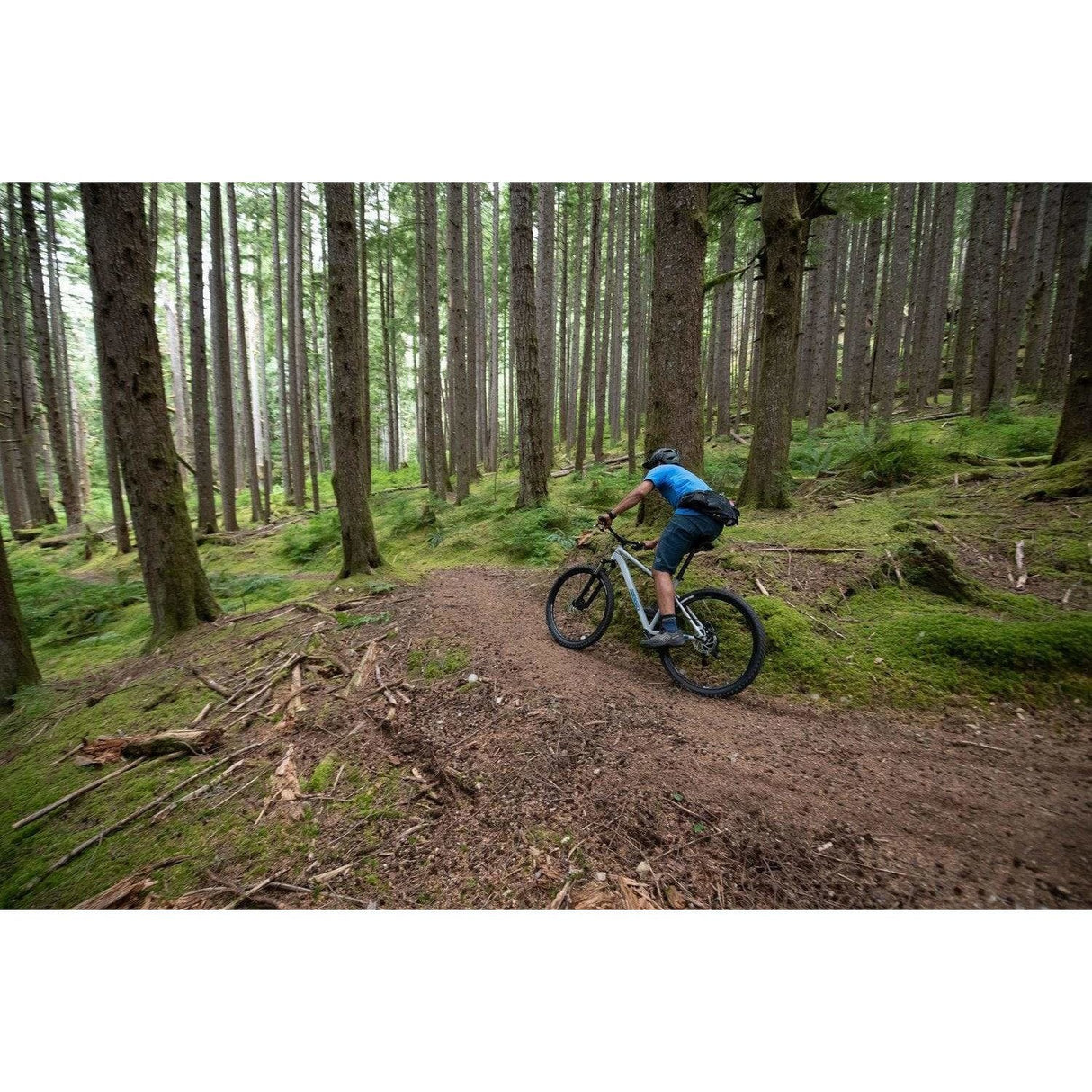 Hook - 27.5" Mountain Bike