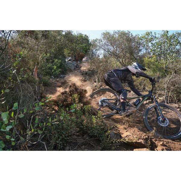 Reign 29er 2 Mountain Bike (2021)