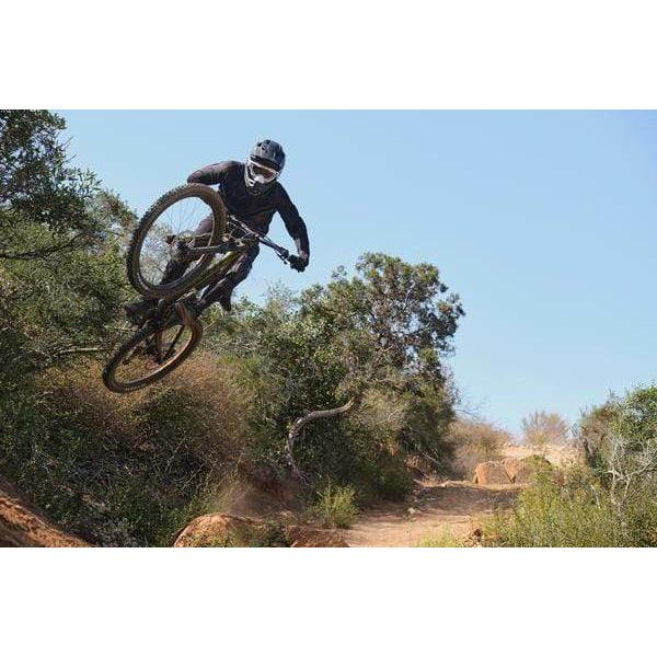 Reign 29er 2 Mountain Bike (2021)