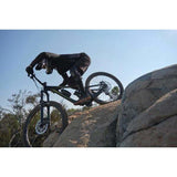 Reign 29er 2 Mountain Bike (2021)