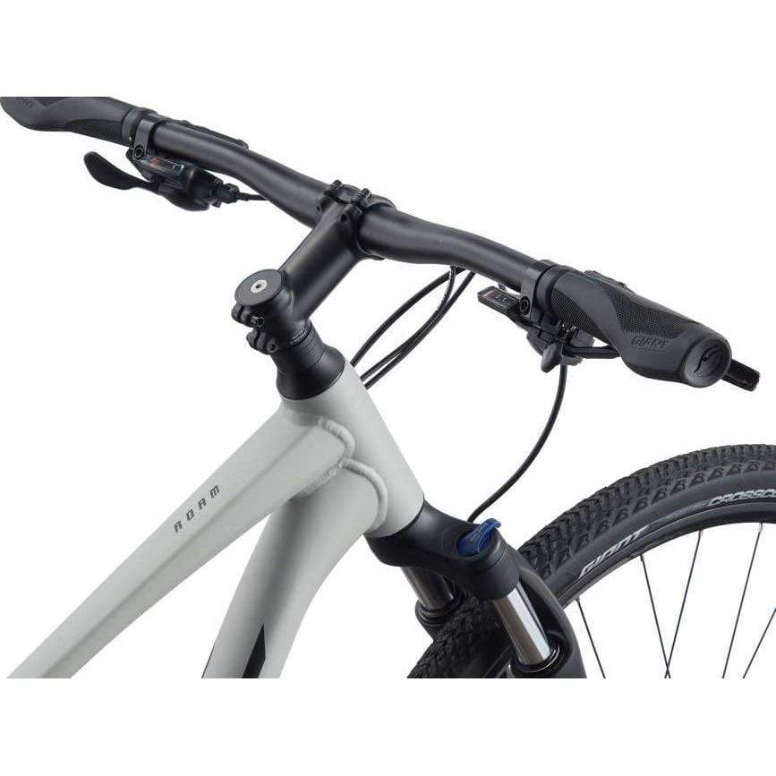 Roam 3 Disc Hybrid Bike (2021)